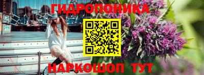 дмт Ярославль
