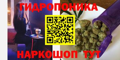 дмт Ярославль