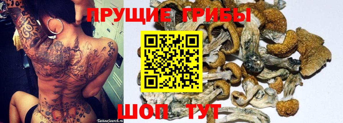 Псилоцибиновые грибы Cubensis  Вход с VPN  Дзержинский 