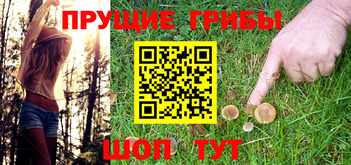 Галлюциногенные грибы мухоморы Дзержинский